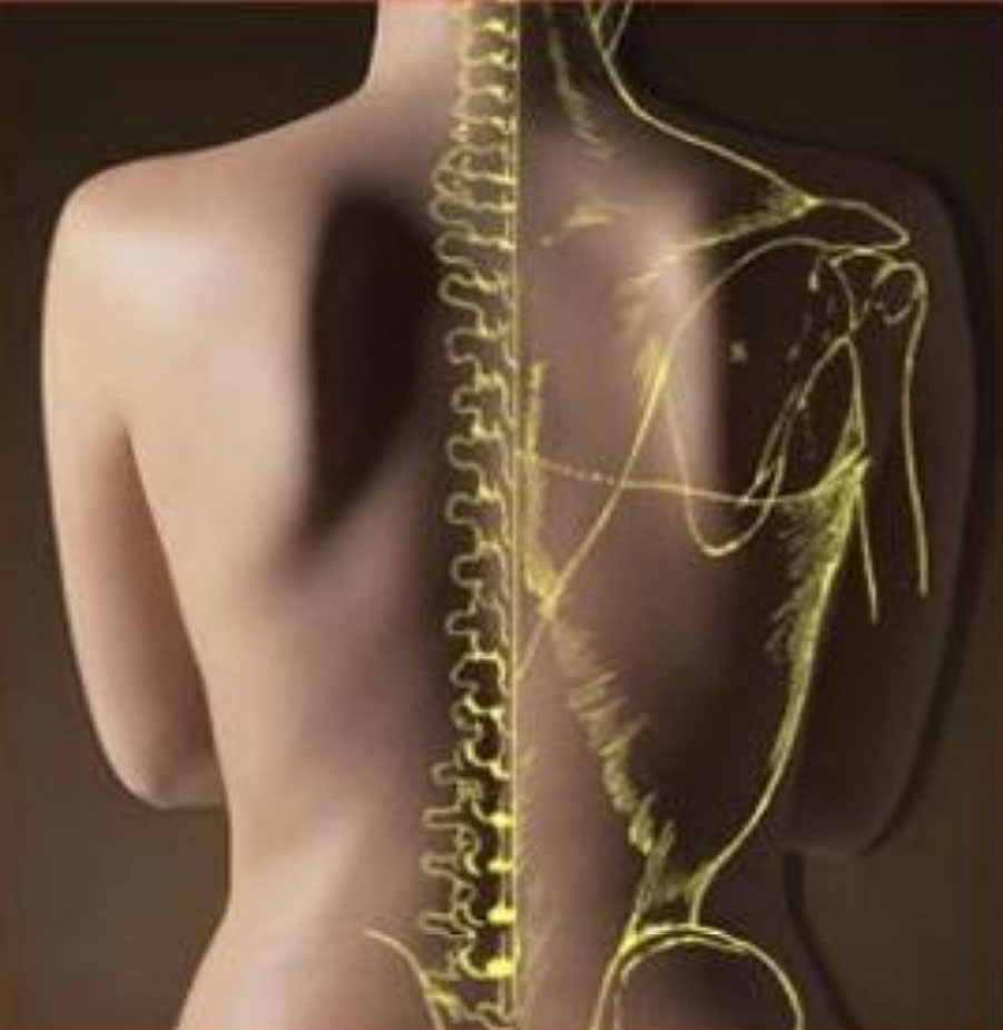 osteo-2